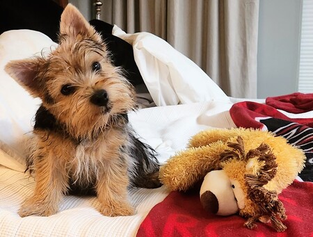 Entry image for Keegan . Clicking this image will show a larger photo