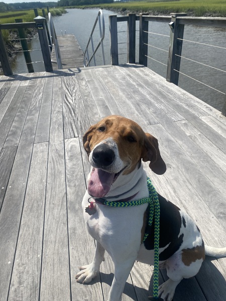 Entry image for Emma. Clicking this image will show a larger photo