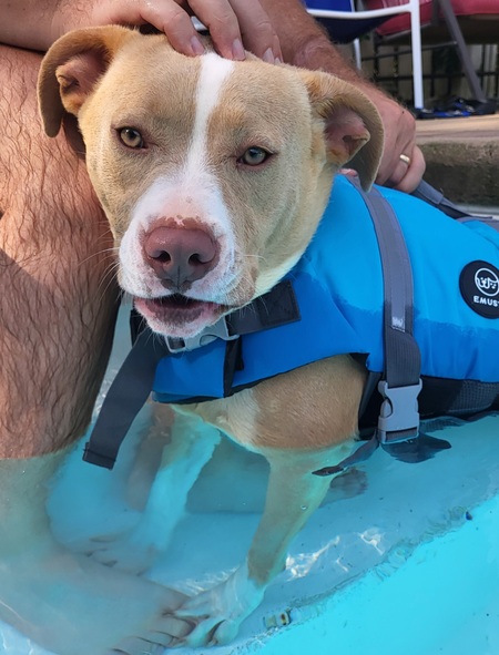 Entry image for Colby. Clicking this image will show a larger photo