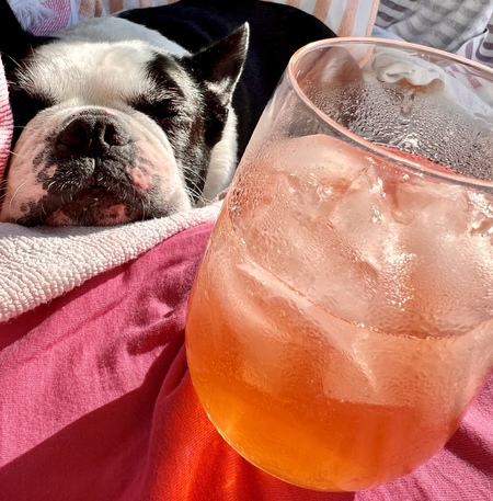 Entry image for Lino. Clicking this image will show a larger photo