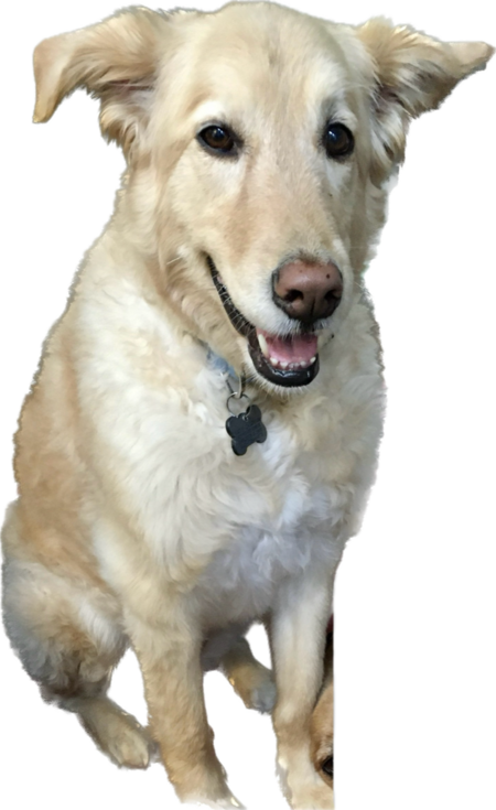 Entry image for Hepburn. Clicking this image will show a larger photo