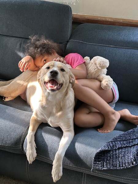 Entry image for Shelby. Clicking this image will show a larger photo