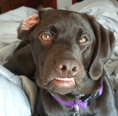 Entry image for River. Clicking this image will show a larger photo