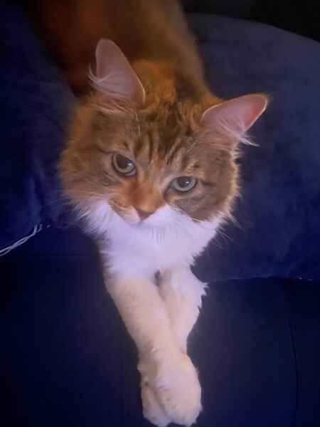 Entry image for Ayah . Clicking this image will show a larger photo