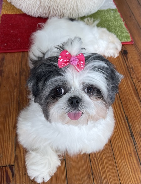 Entry image for George . Clicking this image will show a larger photo