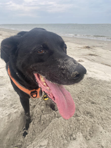 Entry image for Cash. Clicking this image will show a larger photo