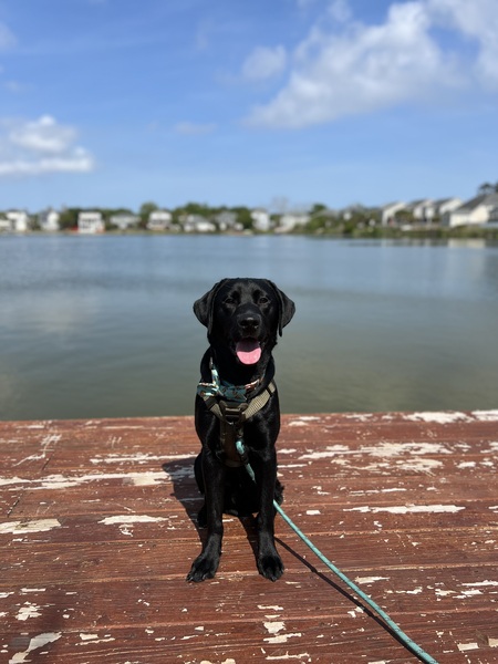 Entry image for Cash. Clicking this image will show a larger photo