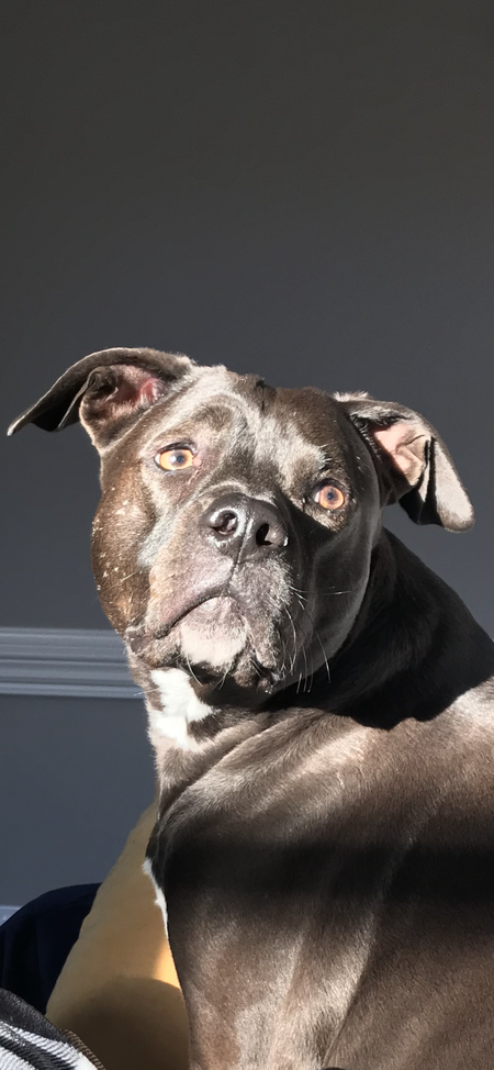 Entry image for Laney Monster Coleman. Clicking this image will show a larger photo