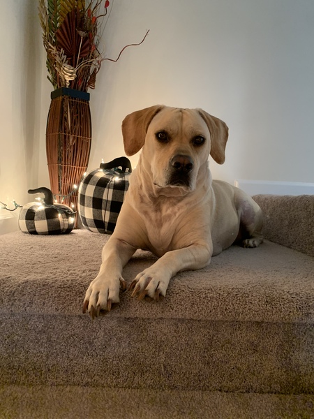 Entry image for Folly . Clicking this image will show a larger photo