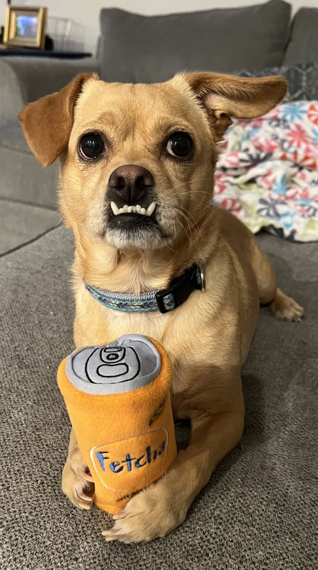 Entry image for Nala. Clicking this image will show a larger photo