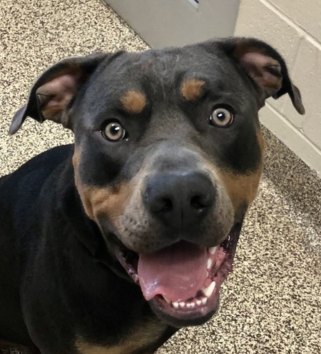 Entry image for Rip. Clicking this image will show a larger photo