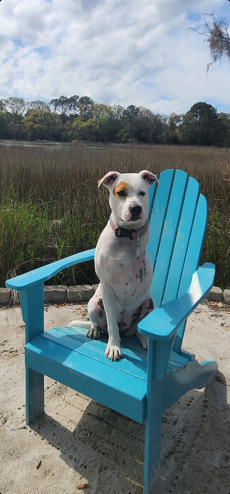 Entry image for Peaches. Clicking this image will show a larger photo