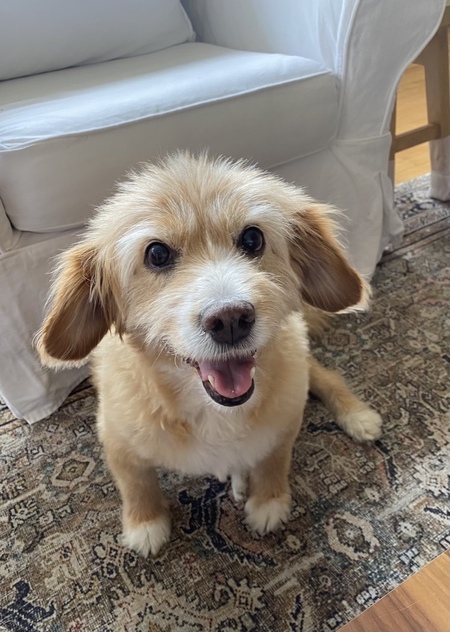 Entry image for Addie. Clicking this image will show a larger photo