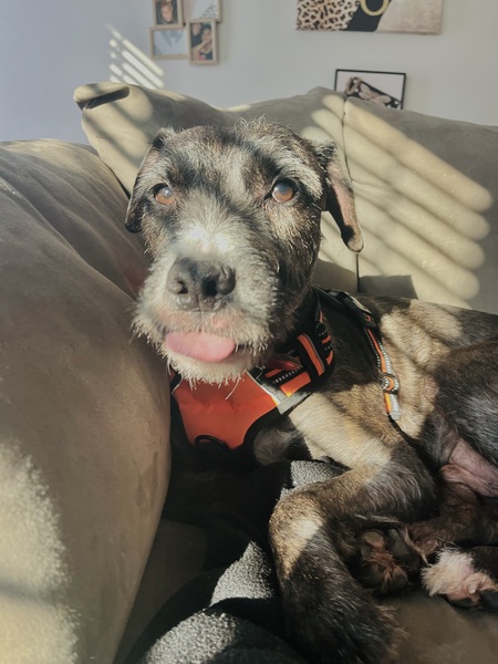 Entry image for Eddie Kane Jr. Clicking this image will show a larger photo