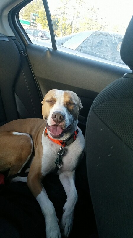 Entry image for Clementine. Clicking this image will show a larger photo