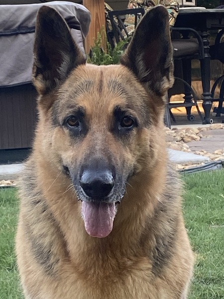 Entry image for Jada King. Clicking this image will show a larger photo