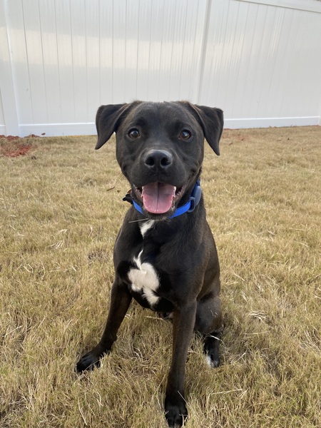 Entry image for Flint. Clicking this image will show a larger photo