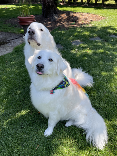 Marlowe and Melody