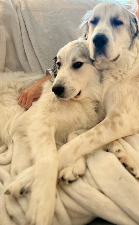 Carly and Brady