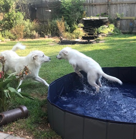 Basa & Delilah 