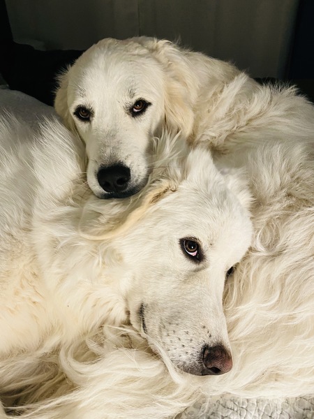 Luna and Kiko