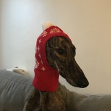 Entry image for Hank