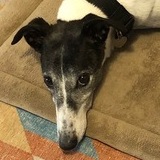 Entry image for Mabel