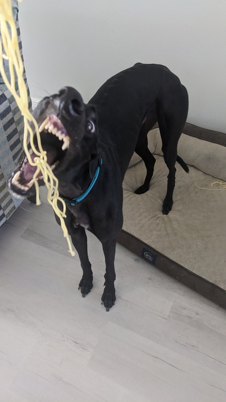 Entry image for Bonetti. Clicking this image will show a larger photo