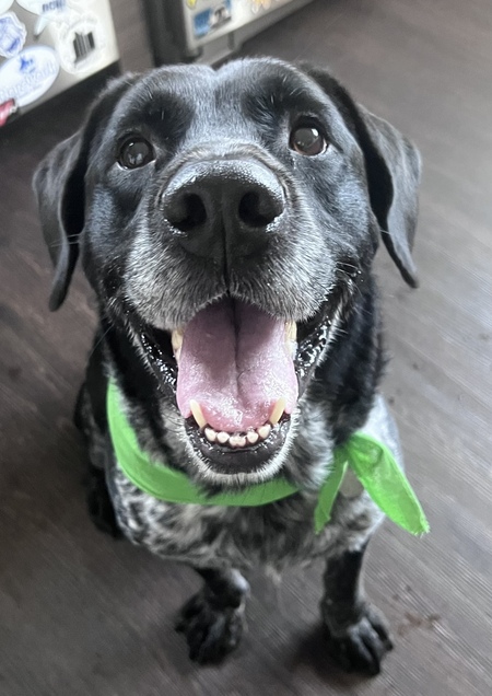 Tucker