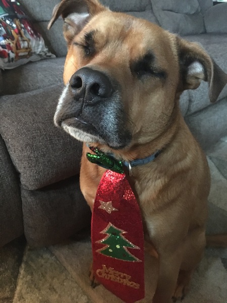 Scooby
