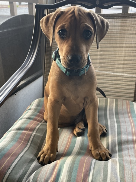 Luca a/k/a Luke