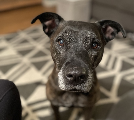 Nellie