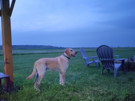 Tucker