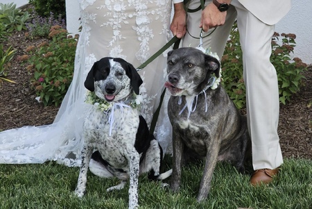 Barlee (left)