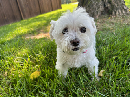 Nina