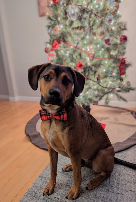 Miles (formally Archie)