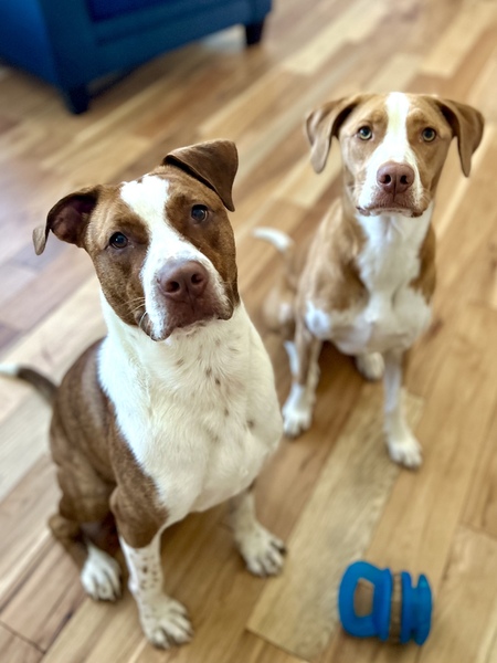 Finn and Gemma