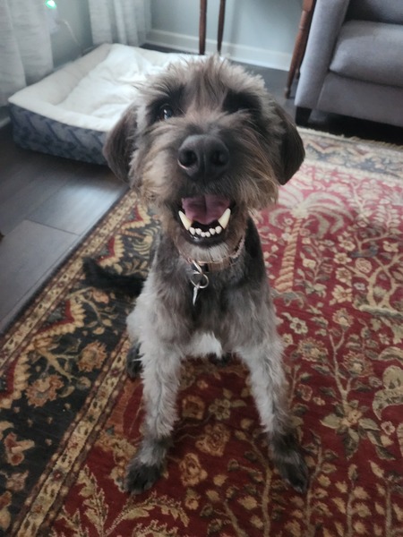 Eddie