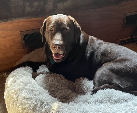 Coco
