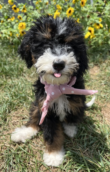 Lina (pronounced Lēna) formerly Keebler