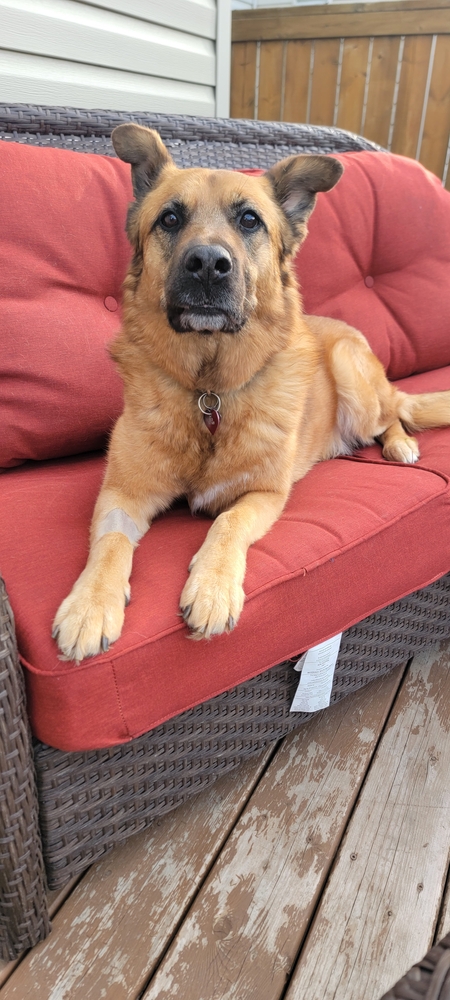 Maximo