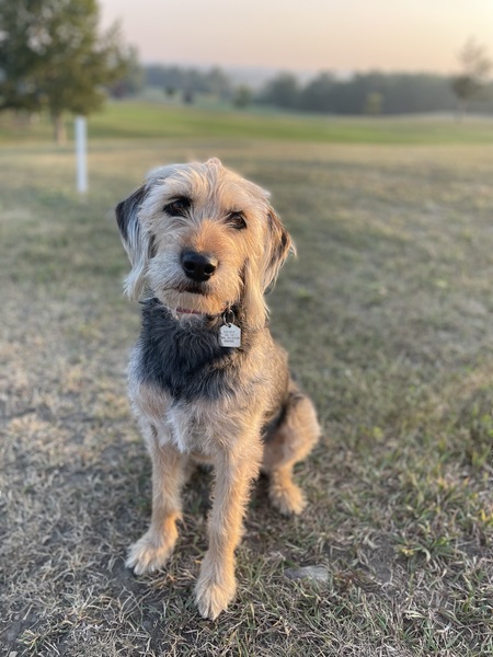 Tina