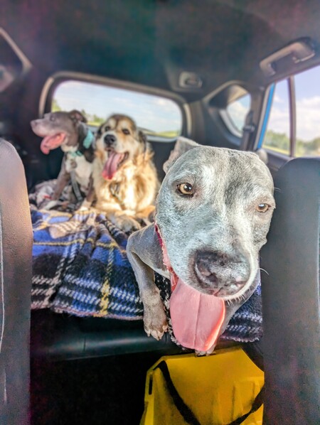 Jules, Billy and Heffley