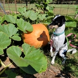 Entry image for Chloe 