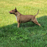 Entry image for Athena