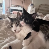 Entry image for Cam and Nova
