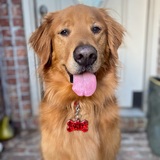 Entry image for Lucky