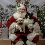 Entry image for Chewy & Leia 