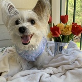 Entry image for Margo
