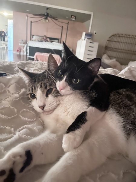 Entry image for Cam and Nova. Clicking this image will show a larger photo